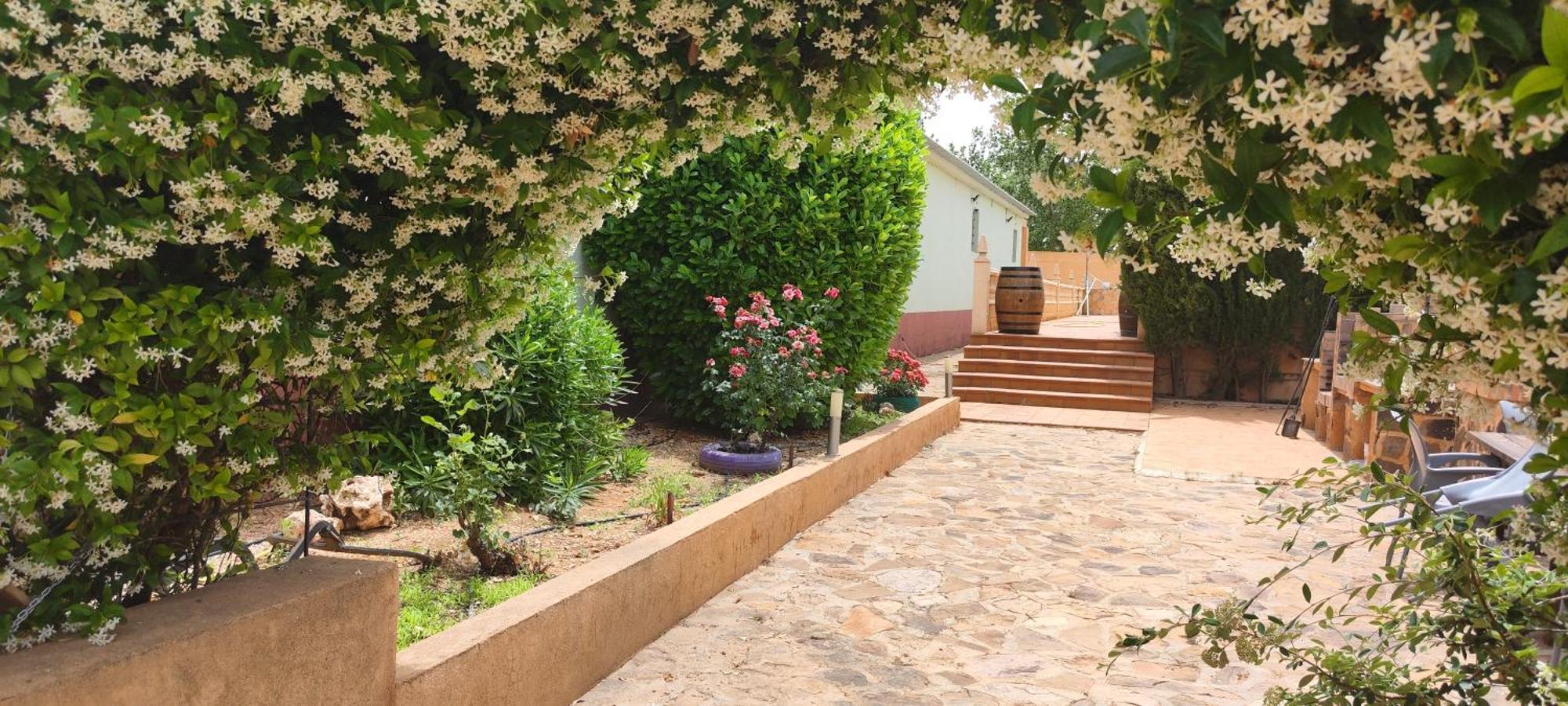 Casa Rural El Tejar San Clemente  Eksteriør billede