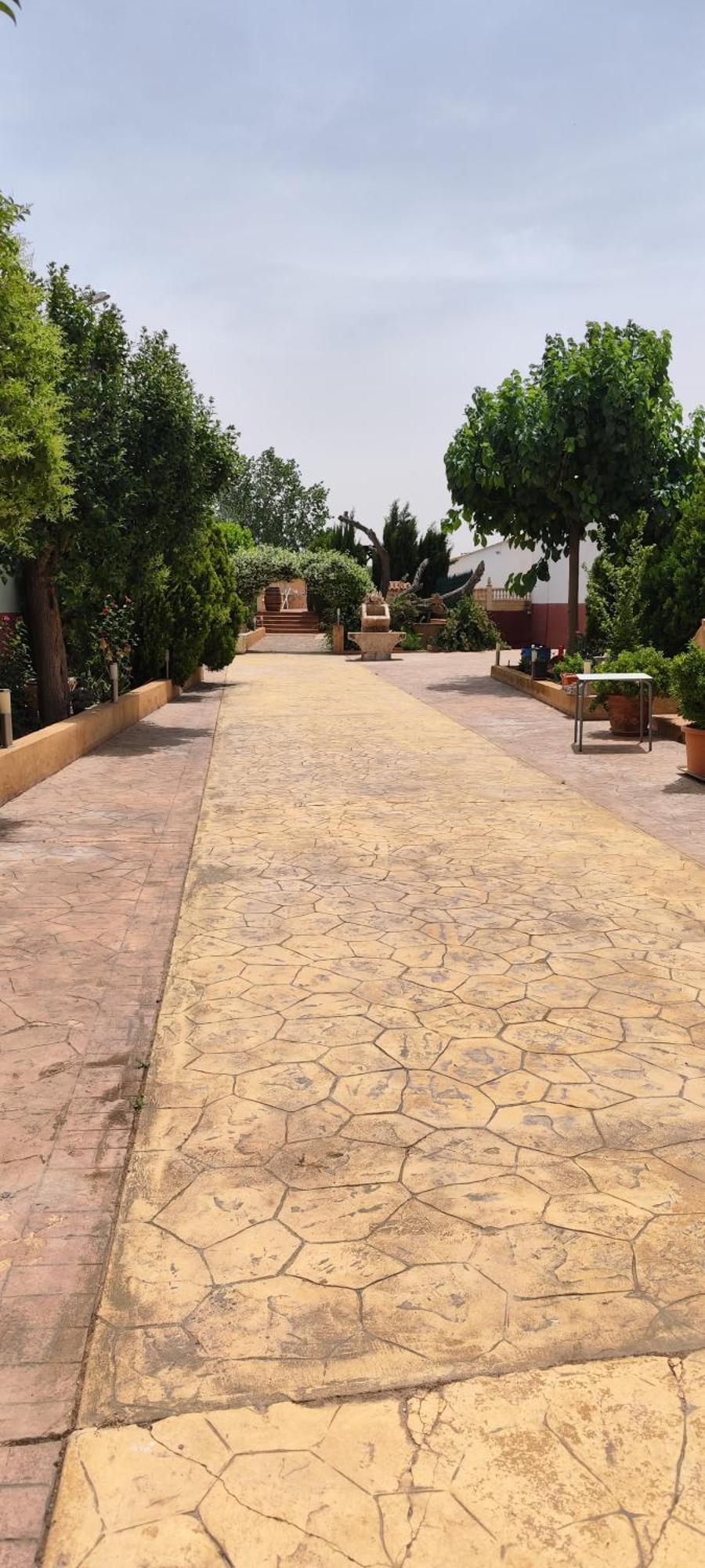Casa Rural El Tejar San Clemente  Eksteriør billede