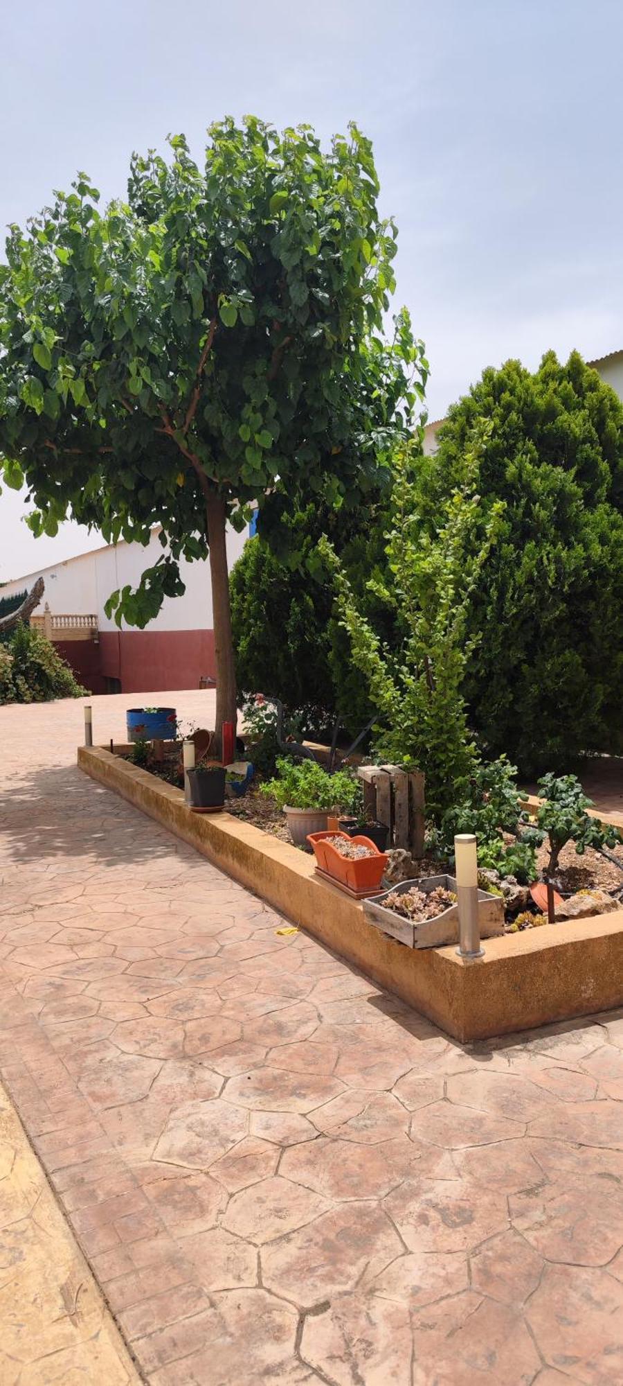 Casa Rural El Tejar San Clemente  Eksteriør billede